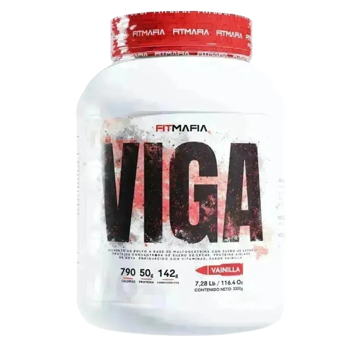 VIGA