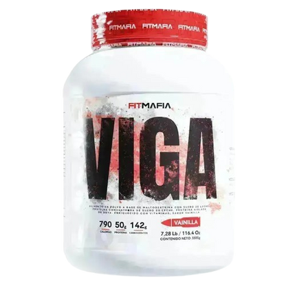 VIGA
