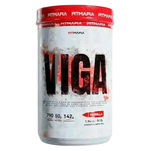 VIGA
