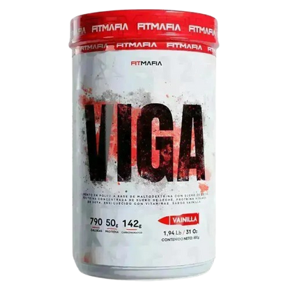 VIGA